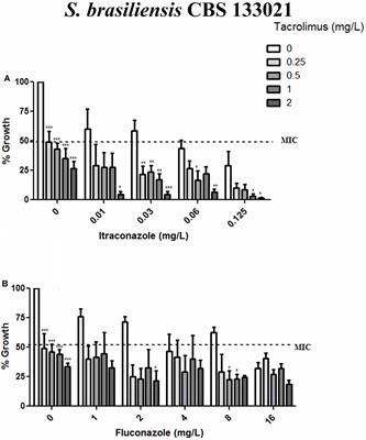 Tacrolimus Increases the Effectiveness of Itraconazole and Fluconazole against Sporothrix spp.